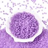 FGB Frosted Transparent Glass Seed Beads SEED-N013-02A-07-2