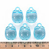 Autumn Theme Transparent Acrylic Pendants LS-TACR-T024-04B-946-5
