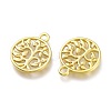 Alloy Pendants PALLOY-P219-02G-2