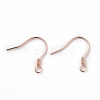 925 Sterling Silver Earring Hooks STER-D035-22RG-1