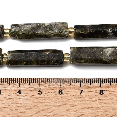 Natural Fuchsite Beads Strands G-D353-A18-1