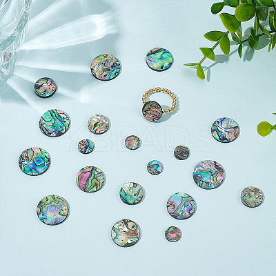 20Pcs 4 Styles Natural Abalone Shell/Paua Shell Cabochons SHEL-WR0001-07-1