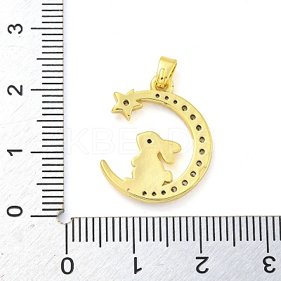 Brass Micro Pave Clear Cubic Zirconia Pendants FIND-Z044-03F-1