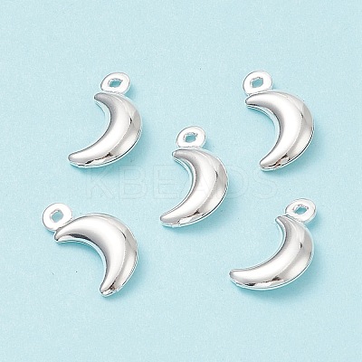 304 Stainless Steel Pendants STAS-I138-05S-1