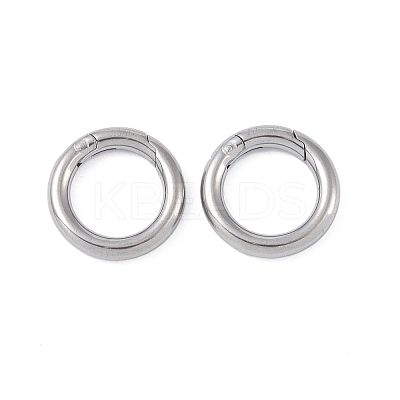 Non-Tarnish 304 Stainless Steel Spring Rings Clasp STAS-B061-01P-1
