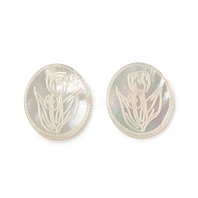 Natural Sea Shell Cabochons SSHEL-T012-14-1