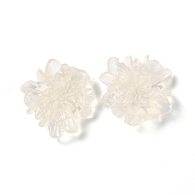 Transparent Resin Cabochons X-RESI-G027-01A-1