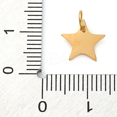 304 Stainless Steel Charms STAS-Q331-01E-1