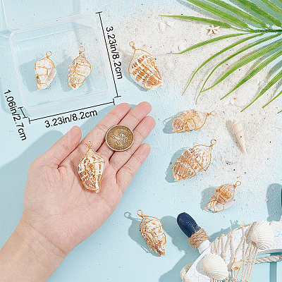 10Pcs Natural Conch Shell Big Pendants FIND-BBC0003-11-1