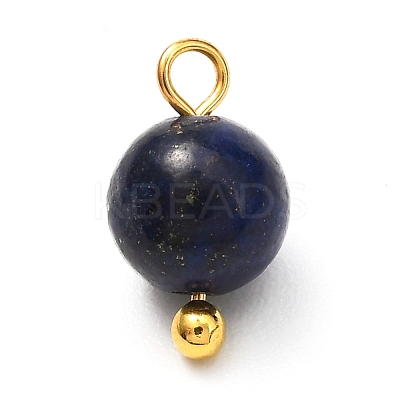 Natural Mixed Gemstone Charms PALLOY-JF00992-01-1
