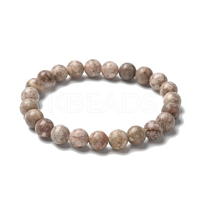 Natural Maifanite/Maifan Stone Bead Stretch Bracelets X-BJEW-K212-B-044-1