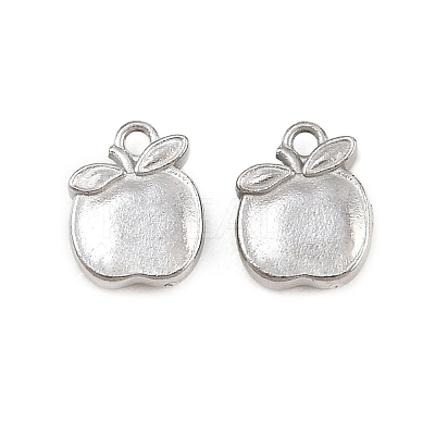 304 Stainless Steel Charms SA-CBAC865-04D-P-1