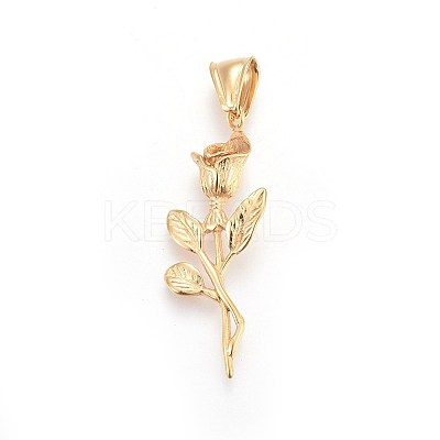 304 Stainless Steel Pendants STAS-F197-02G-1