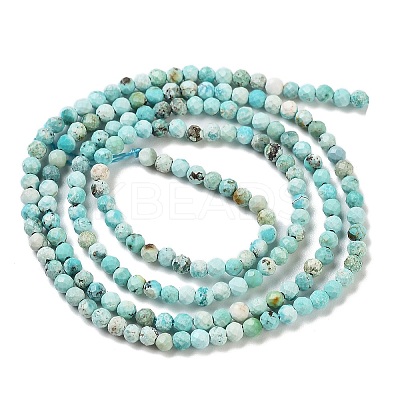 Natural HuBei Turquoise Beads Strands LS-G-G792-38-01-1