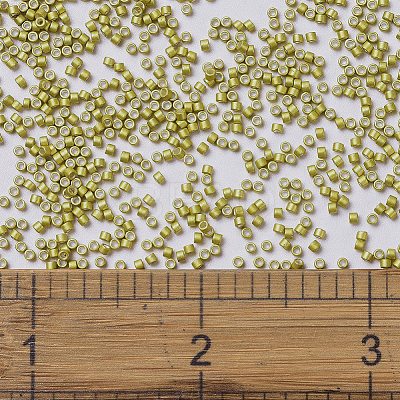 MIYUKI Delica Beads X-SEED-J020-DB1154-1