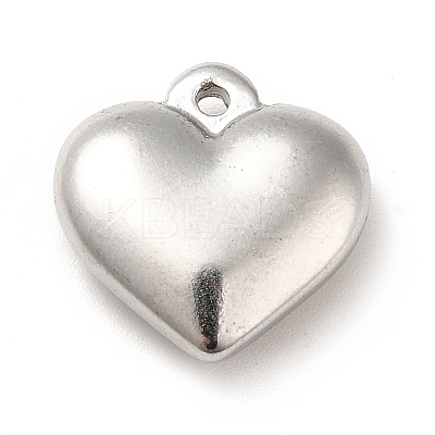 Non-Tarnish 304 Stainless Steel Pendants STAS-H172-01P-1