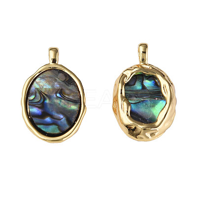 Synthetic Abalone Shell/Paua Shell Pendants X-KK-N233-254-1