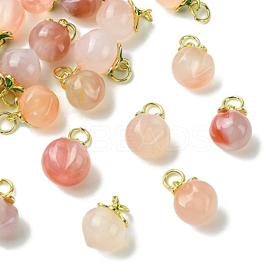 10Pcs 2 Styles Natural Agate Peach Charms KK-CJ0003-24-1