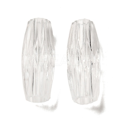 Transparent Acrylic European Beads TACR-G048-17-1