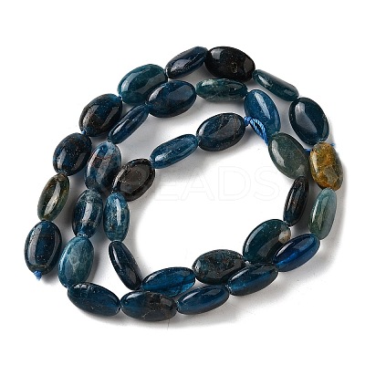 Natural Apatite Beads Strands G-Q026-A01-01-1