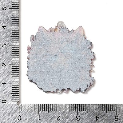 Acrylic Pendants OACR-O007-01A-1