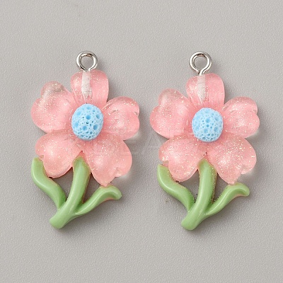 Translucent Resin Pendants RESI-TAC0004-32P-04-1