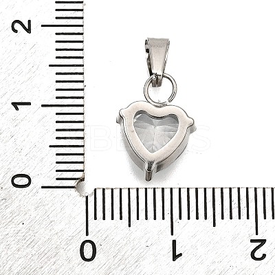 304 Stainless Steel Micro Pave Cubic Zirconia Pendants LS-STAS-B086-13P-04-1