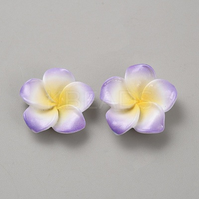 Two Tone Resin Cabochons RESI-WH20010-01A-1