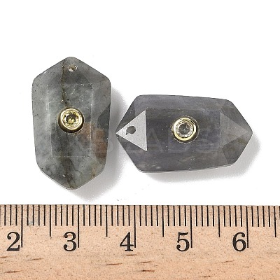 Natural Labradorite Faceted Pendants G-B151-02G-1