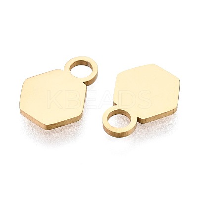 201 Stainless Steel Charms STAS-T070-13G-1