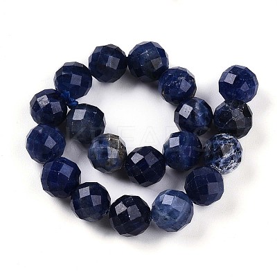 Natural Sodalite Beads Strands G-S345-10mm-26-1