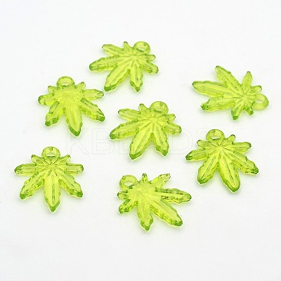 Transparent Acrylic Pendants PL711Y-3-1