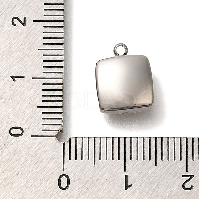304 Stainless Steel Charms STAS-P371-069P-01-1