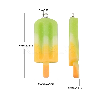 Rainbow Resin Pendants CRES-S359-30-1