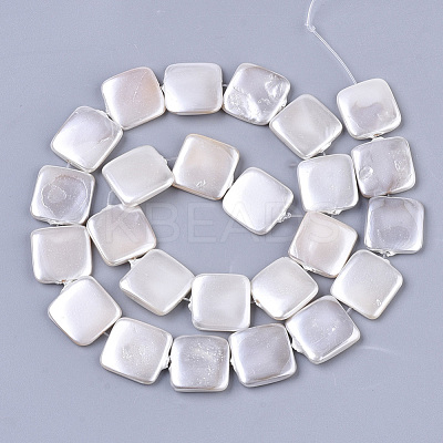 Shell Pearl Beads Strands X-SSHEL-T011-04A-1