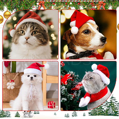 Polyester Pet Clothes Sets AJEW-WH20020-399-1