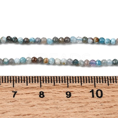 Natural Apatite Beads Strands G-K366-C05-2mm-1