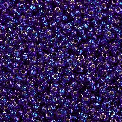 MIYUKI Round Rocailles Beads X-SEED-G009-RR1020-1