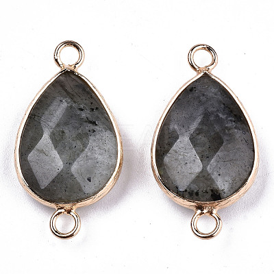 Natural Labradorite Links Connectors G-T131-49F-1