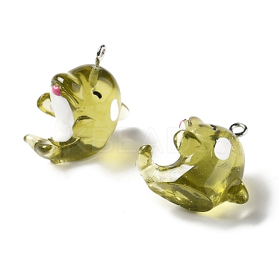 Marine Series Transparent Resin Pendants LS-RESI-E031-02P-10-1