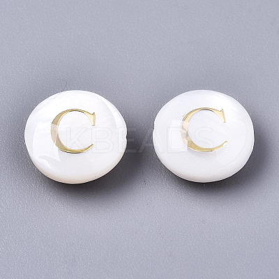 Natural Freshwater Shell Beads SHEL-S266-12C-1