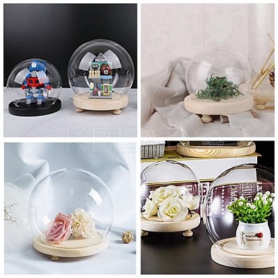 High Borosilicate Glass Cloche Globe Display Dome ODIS-F007-01A-1