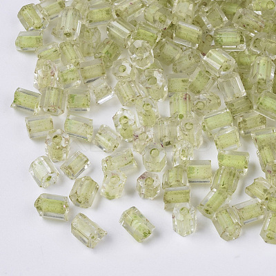 6/0 Two Cut Glass Seed Beads SEED-S033-09B-01-1