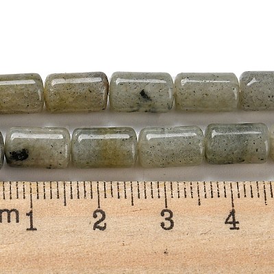 Natural Labradorite Beads Strands G-M420-E01-03-1