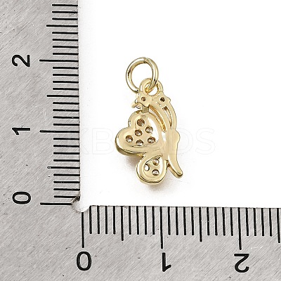 Brass Micro Pave Clear Cubic Zirconia Charms CU-L001-09G-06-1