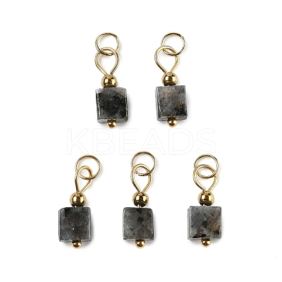 Natural Labradorite Pendants STAS-Z129-01G-03-1