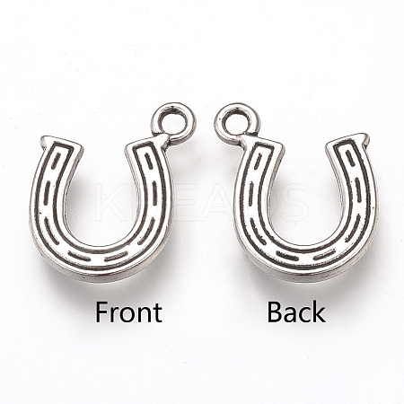 Tibetan Style Alloy Charms LS-X-TIBEP-T002-81AS-RS-1