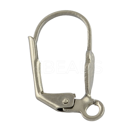 Tarnish Resistant 304 Stainless Steel Leverback Earring Findings LS-STAS-S028-09-1