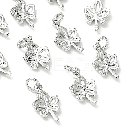 SHEGRACE Brass Charms XGRQ3D575-460P-1
