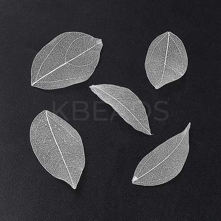 Dried Flower Leaf Craft Supplies AJEW-WH20816-056B-1